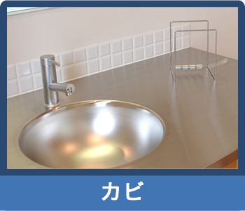 カビ