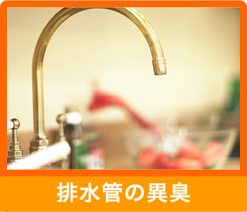 排水管の異臭